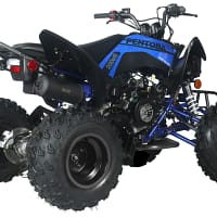 black-blue4-1.webp PENTORA EFI