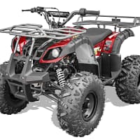 black-red1.webp VITACCI RIDER 9