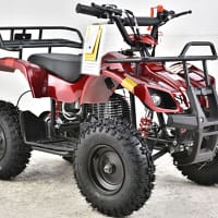 red-2.webp VITACCI MINI HUNTER