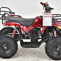 red-3.webp VITACCI MINI HUNTER