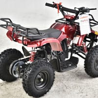 red-4.webp VITACCI MINI HUNTER