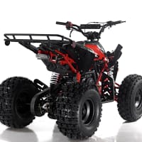 red4-2.webp APOLLO BLAZER