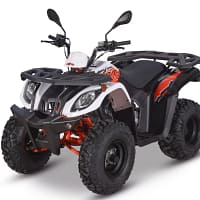 white-orange1-1.webp KAYO BULL