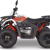 white-orange2-3.webp KAYO BULL