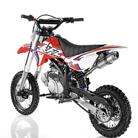 red2 APOLLO DB X16 – AUTOMATIC