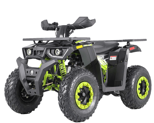 black-green1 COLEMAN