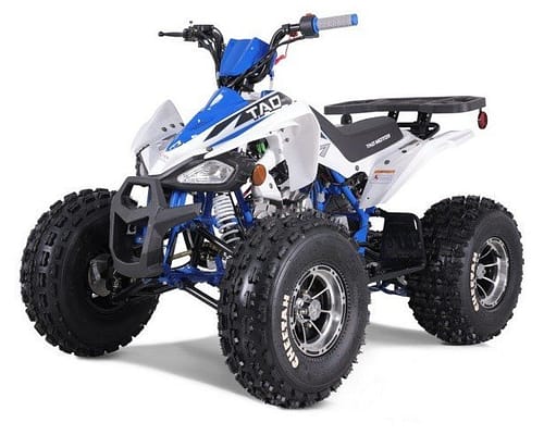 white-blue1 TAO TAO CHEETAH