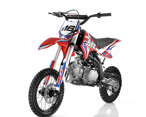 red1 APOLLO DB X16 – AUTOMATIC