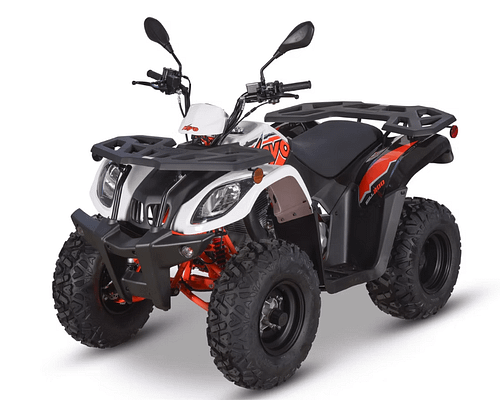 white-orange1 KAYO BULL