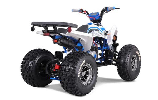 white-blue3.webp TAO TAO CHEETAH