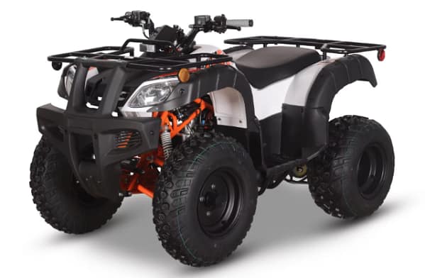 black-white2-1.webp BULL 150 EFI