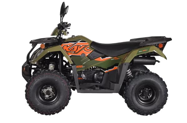 green-military2.webp KAYO BULL