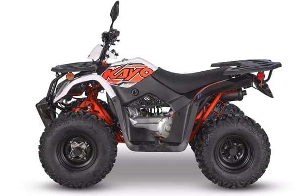 white-orange2-3.webp KAYO BULL