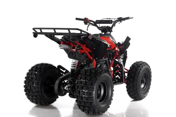 red4-2.webp APOLLO BLAZER