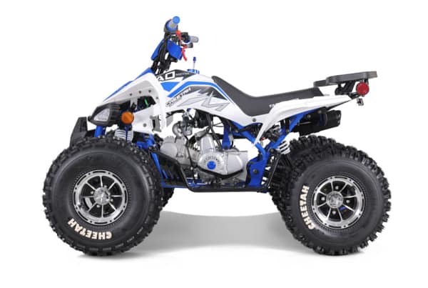 white-blue2.webp TAO TAO CHEETAH