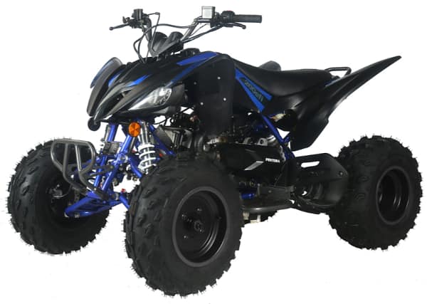 black-blue1-1.webp PENTORA EFI