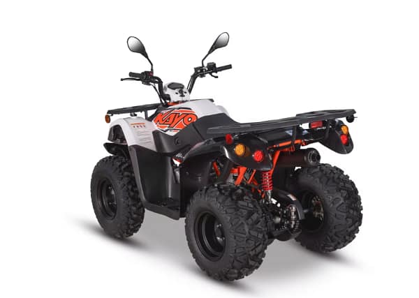 white-orange3-2.webp KAYO BULL