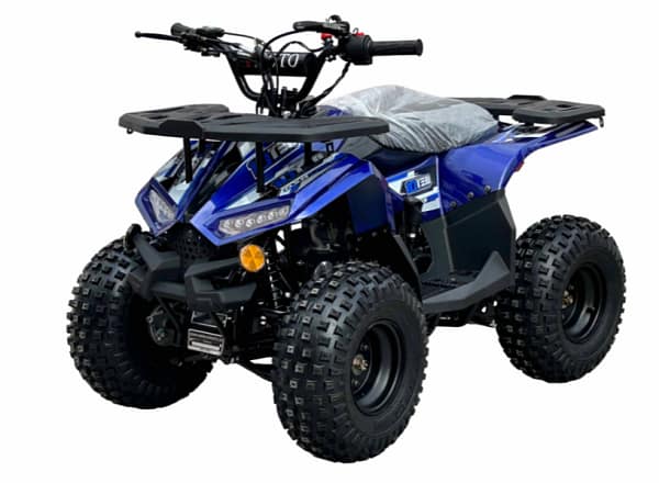 blue1.webp VITACCI RXR