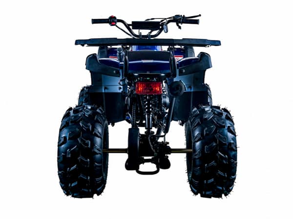 black-blue3.webp VITACCI RIDER 10