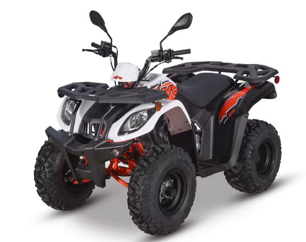 white-orange1-1.webp KAYO BULL