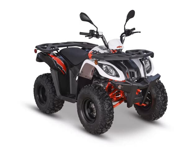 white-orange4-1.webp KAYO BULL